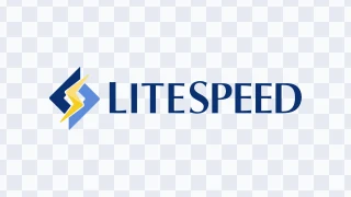 LiteSpeed logo