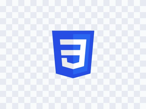 CSS CSS Icon Colored Light SVG