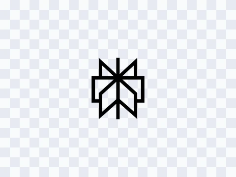 Perplexity Perplexity Icon Black Light PNG