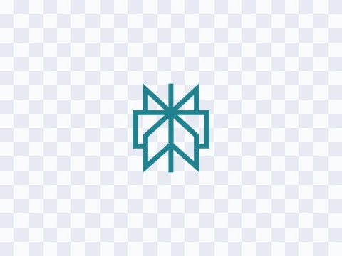 Perplexity Perplexity Icon Colored Light PNG