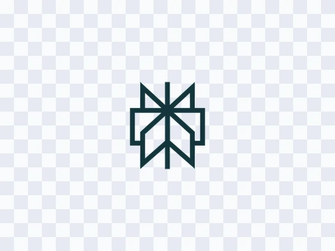 Perplexity Perplexity Symbol Colored Light PNG