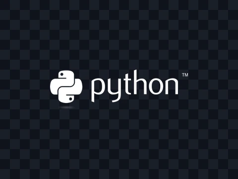 Python Python Logo White Dark PNG